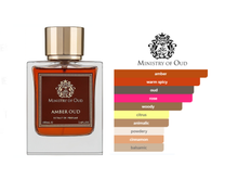 Amber Oud EXP 100 ML
